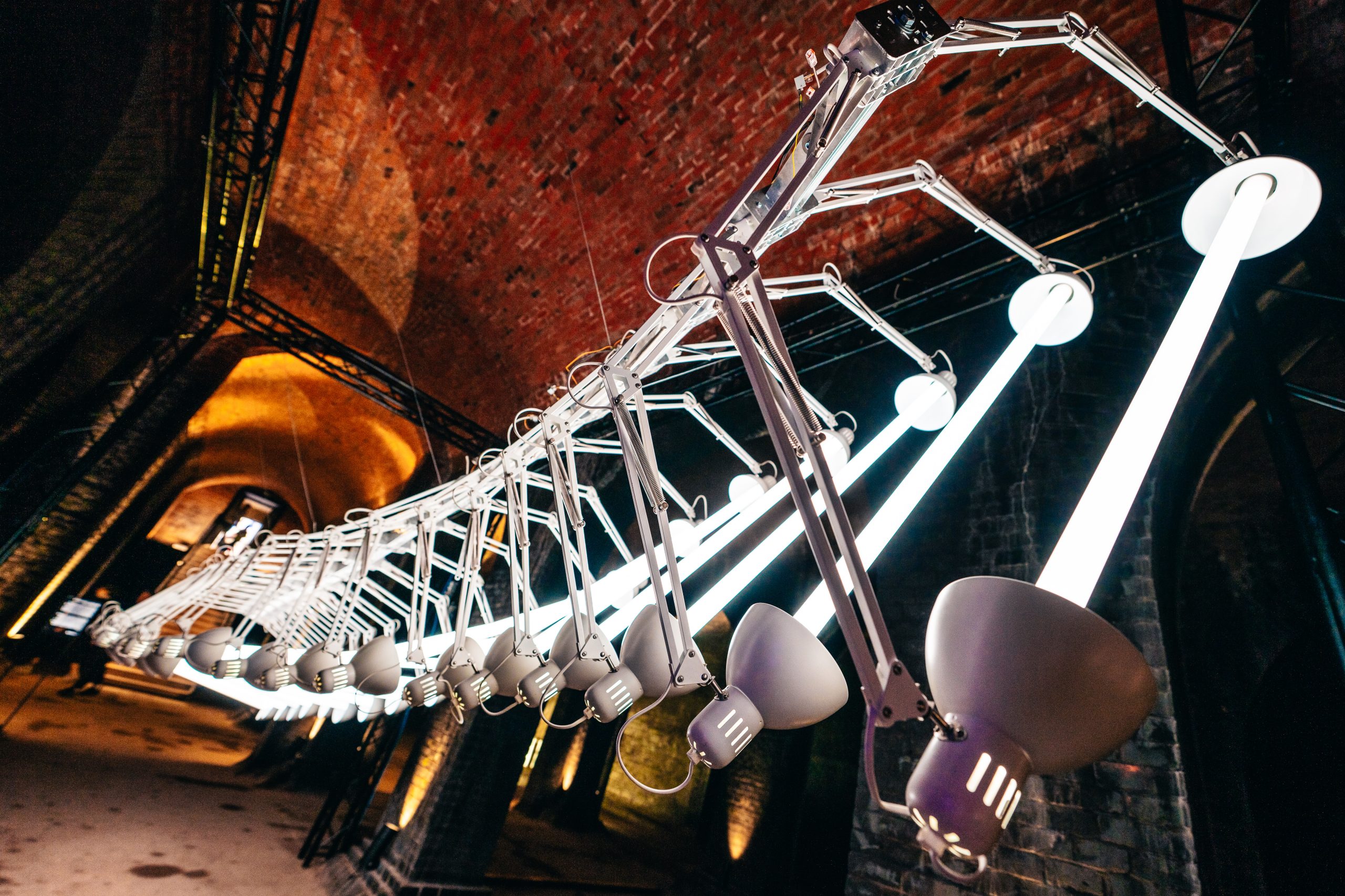 LEVIATHAN’S DNA